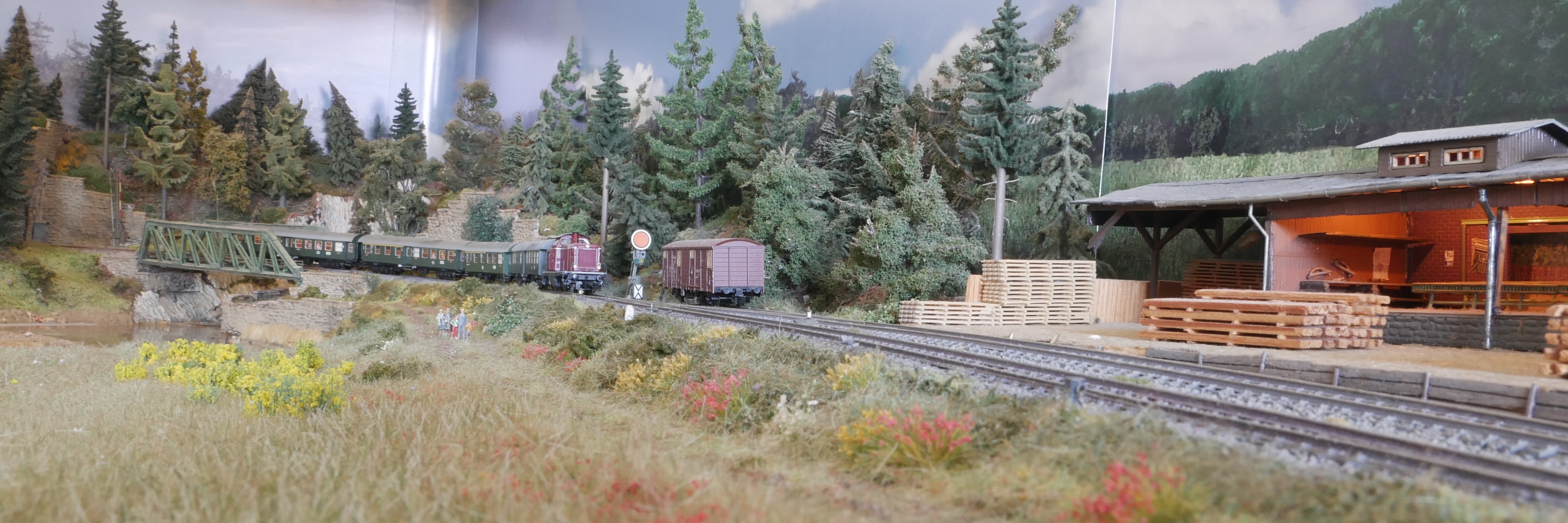 44 Ginsterwiese aus anderer Richtung gesehen