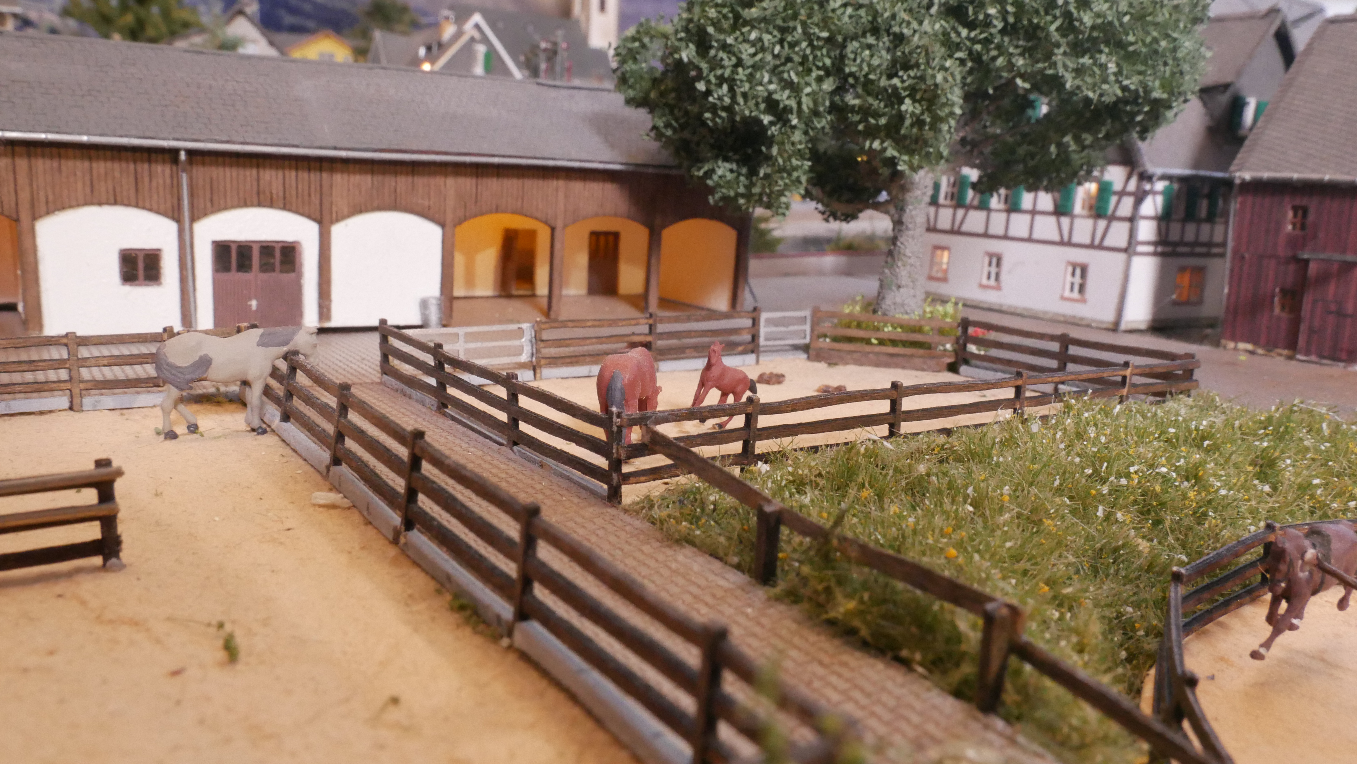 Blick Richtung Reithalle