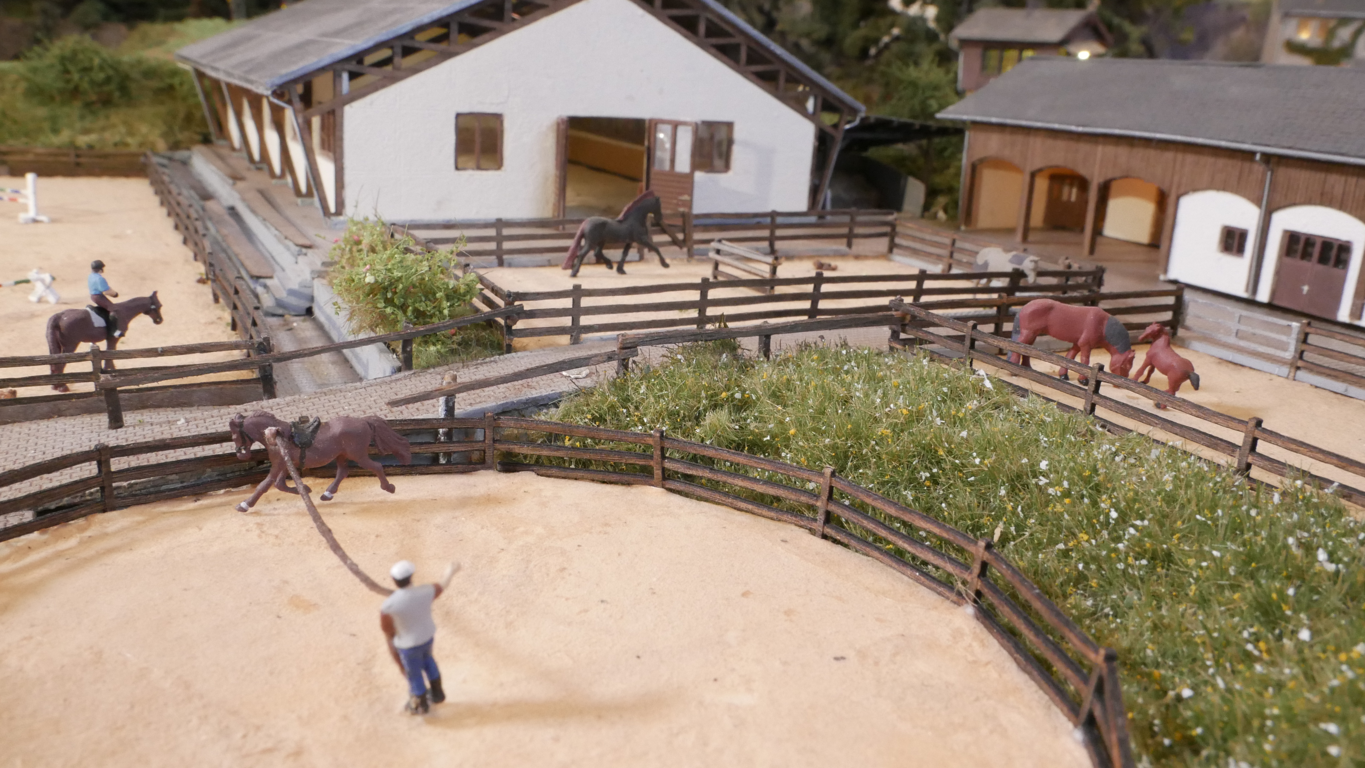 Roundpen, Paddocks, Reithalle