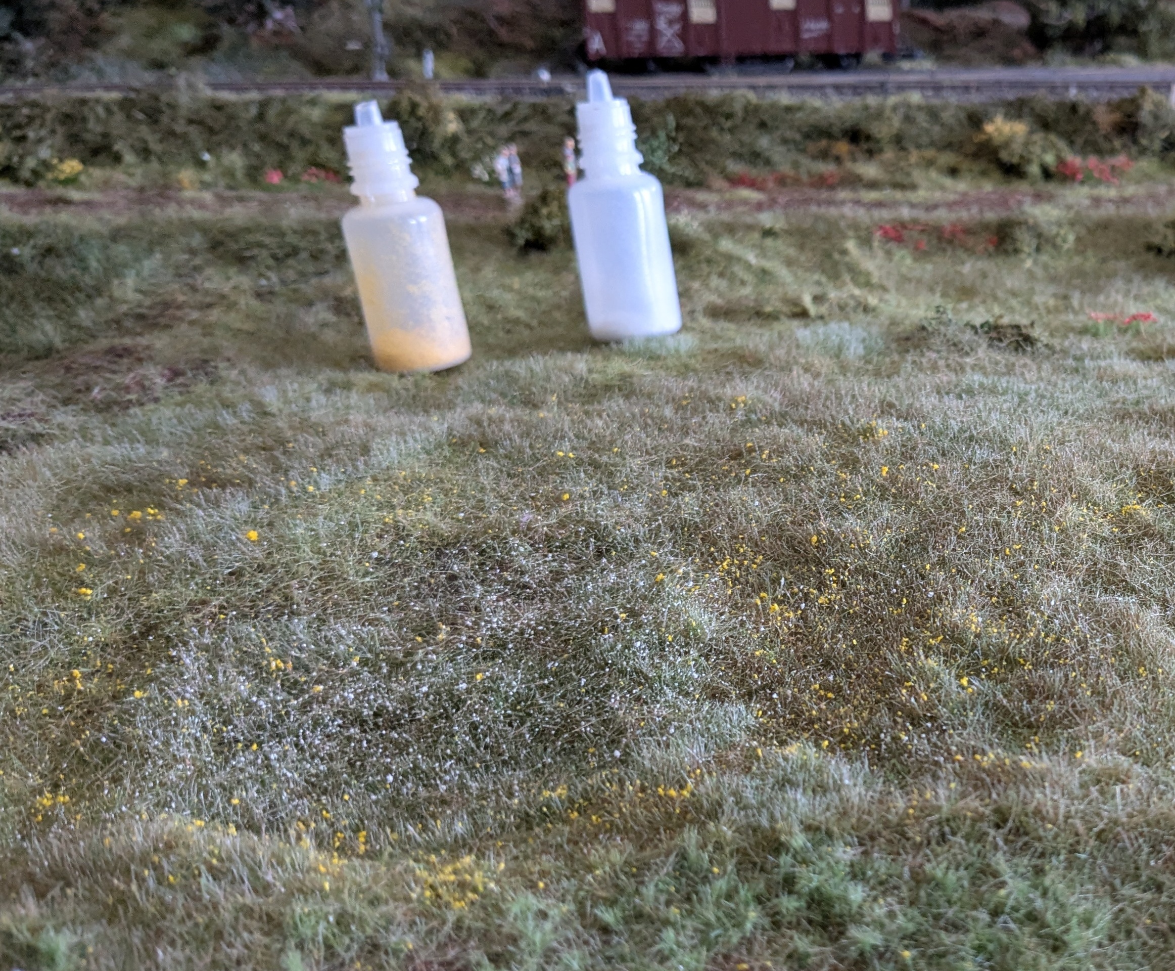 &ERster Versuch von nun bl&uuml;henden Gr&auml;sern
