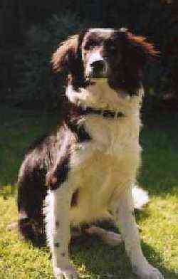 Inzwichen ist Sie eine junge Dame